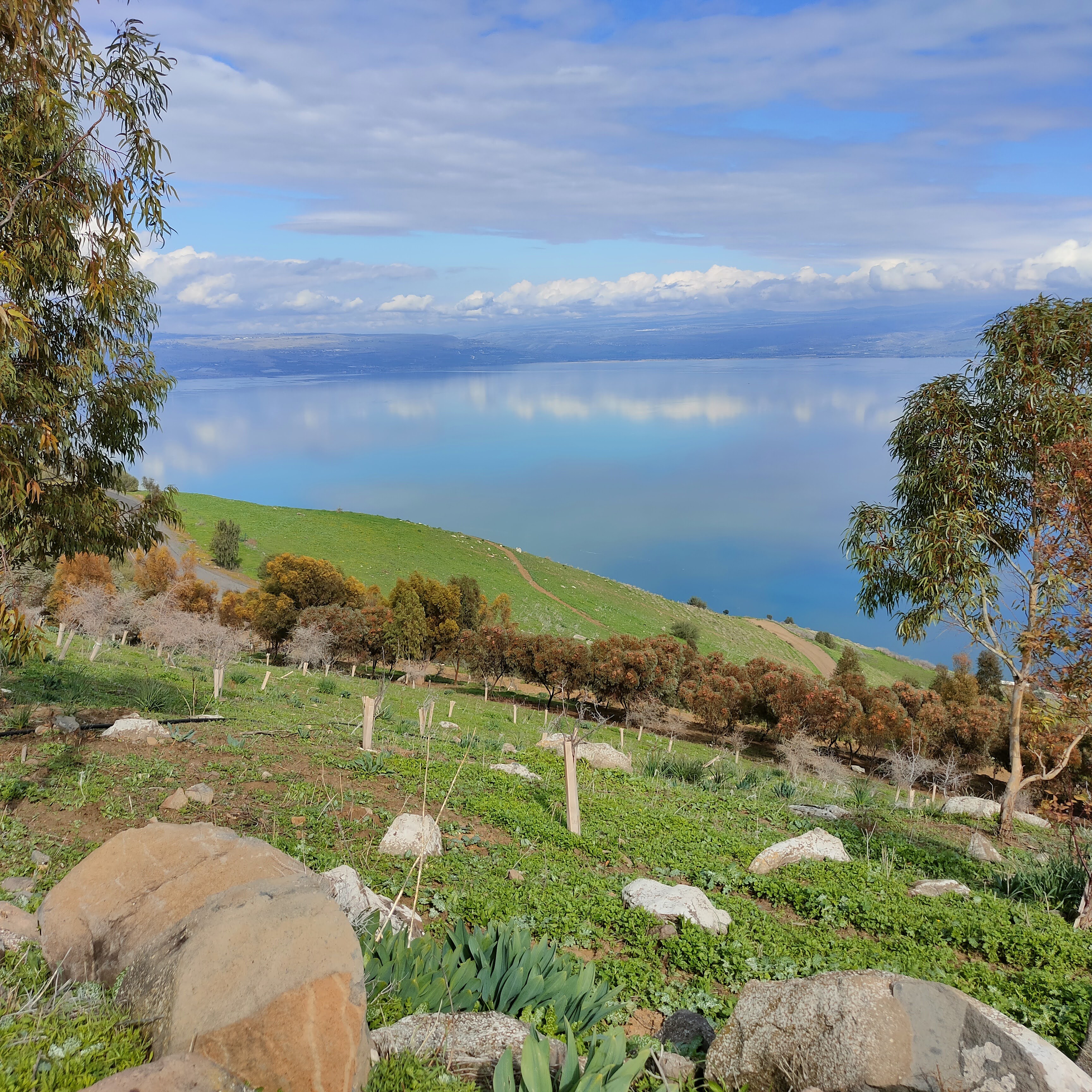 Lake Kinneret (Sea of Galilee), view from the eastern hills